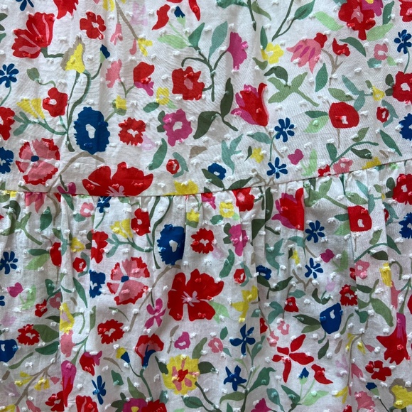 CROSBY BY MOLLIE BURCH Bray Dress in Blossom $290 Size Small - Picture 4 of 13